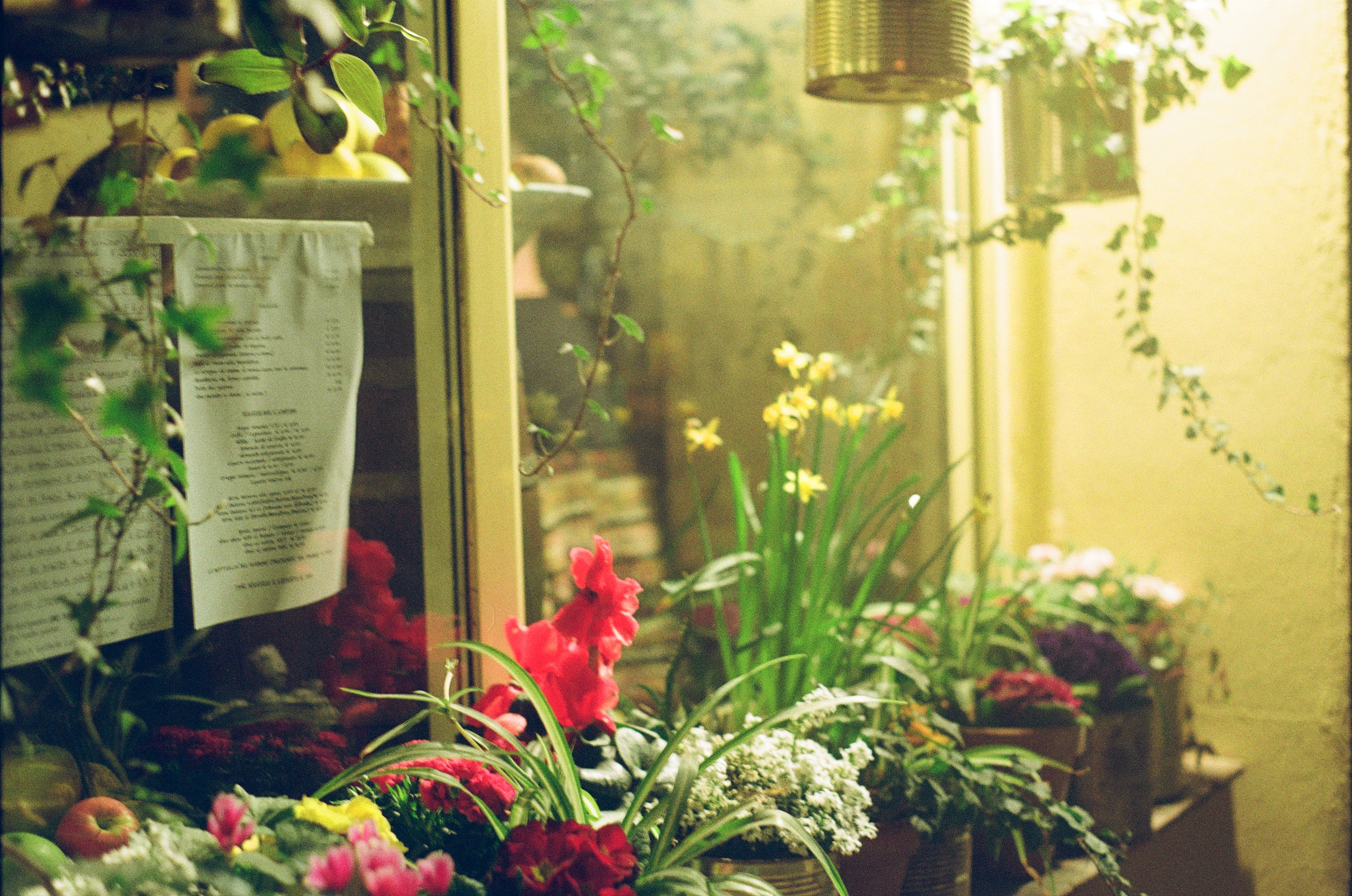 Photograph by Pierce Clark