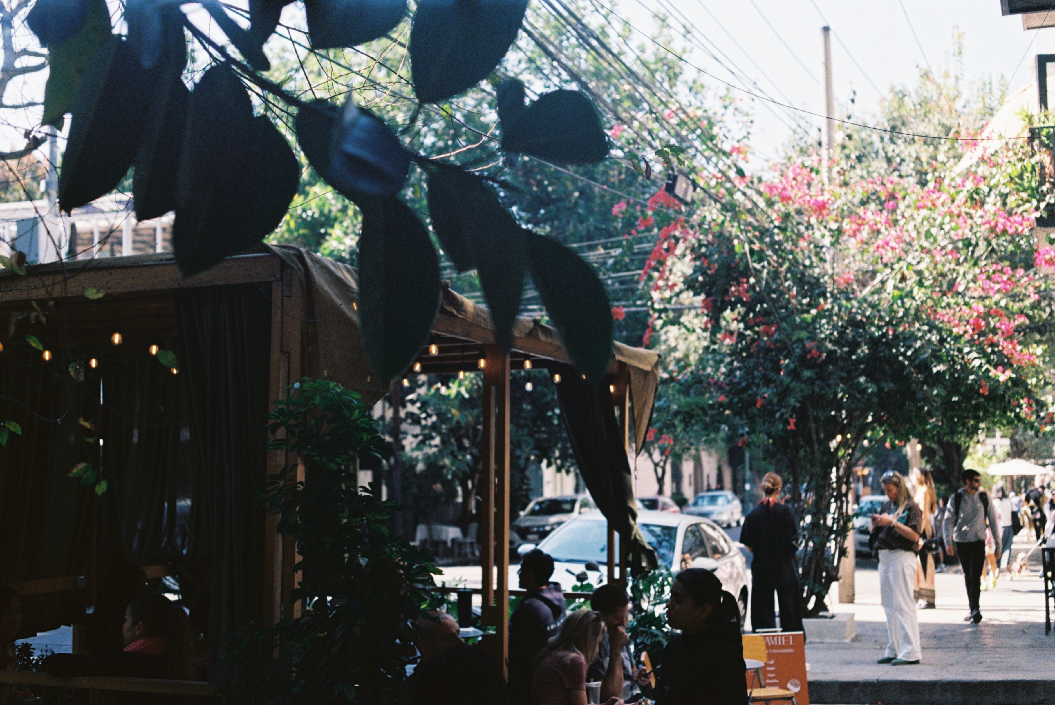 Photograph by Pierce Clark